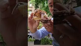 $19 Fried Chicken Sandwich in NYC: Honest Review