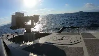 Sailing with the Shark