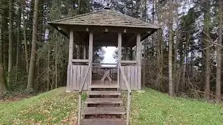 Forest Observation Deck 4K UHD 60Hz