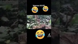 😂😂😂