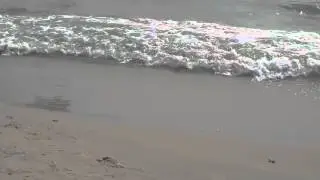 Море. Волны накатывают на берег
