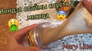 Слаймы с плесенью?🤮🤢 Ниндзя слаймы спустя 2 месяца!
