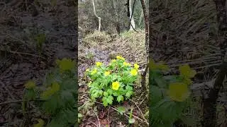 3 июня, а у нас снег. Горное озеро.