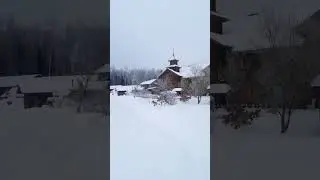 У этих КОТов есть свой Дом – КотоДом‼ #Этномир #КотОтель #КотоДом #Артисанова