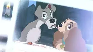 TIL I FOUND YOU | FULL ANIMASH MEP