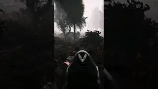 STALKER