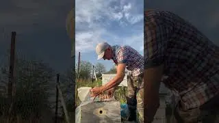 Как поживает рой!🐝🐝🐝