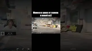 монеси в шоке от скинов в новой кс2