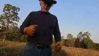 the sound of not scything