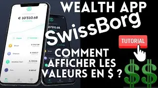 Wealth App Swissborg Tuto - Changer la devise (Passer en Dollars $)