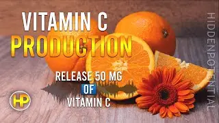 Vitamin C Production: Release 50mg each Listening (Subliminal/Frequencies)