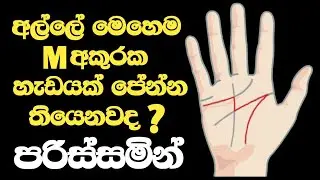 ඒකෙන් කියවෙන්නේ මොකද්ද? හොදක්ද? නරකක්ද? -  I Will Read Your Palm sinhala