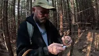 26.10.2024-Трудовий ЗБІР ГРИБІВ! 2 Схила-ОДИН день, Знову з ГРИБАМИ!