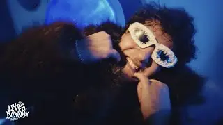 ‪@ZIADZDAN‬