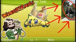 That time I Participated in AbsolBlogsPokemon's WonderTrade Gauntlet.