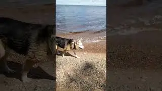 найда искупалась