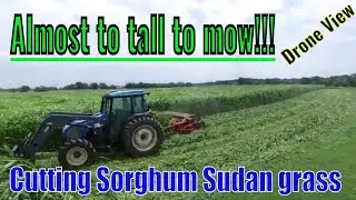 2024 HayGrazer Mowing