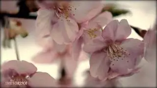 ВЕСЕННЕЕ НАСТРОЕНИЕ