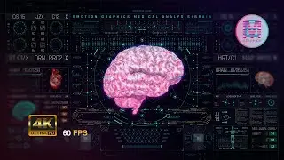 Mind-Blowing 3D Brain Data Animation: The Future of Medical Graphics (4K UHD 60 FPS)