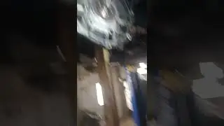 замена задний сальник коленвала