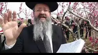 מרגש ביותר: הרב יצחק בצרי עם אביו הרב דוד בצרי בברכת האילנות