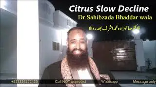 Citrus Slow Decline Dr Sahibzada Bhaddar wala