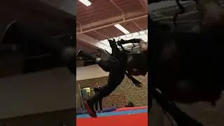 Ninja VS Predator.