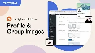 How to Change the Default Profile & Group Images | BuddyBoss Platform