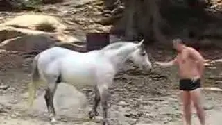 Gay guy meets a Mexican horse