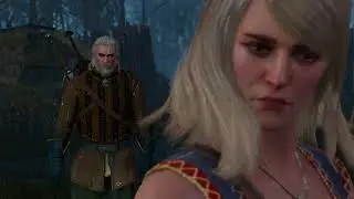 Дар убеждения - Witcher 3 (24)