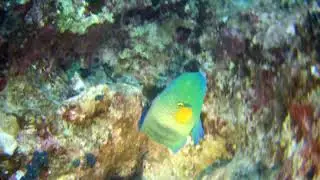 Красное море март