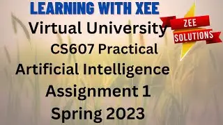 CS607p Assignment 1 spring 2023 Virtual  University of Pakistan