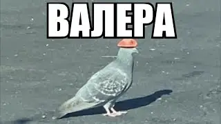 Валера, иди нах...