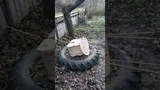 20 грудня 2023 р.