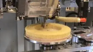 Tampico Brushes