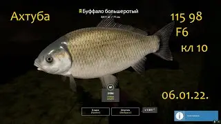 рр4! Ахтуба Буфало Сазан Карп)))
