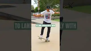 Ollie Manuals