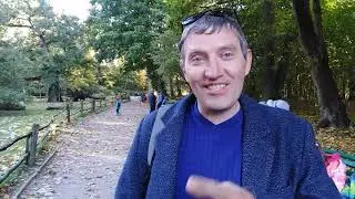 Это стоит увидеть - Знаменитые, вековые дубы Польши в Рогалине.