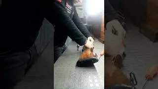 yıldız av tüfegi söküp toplama işlemi