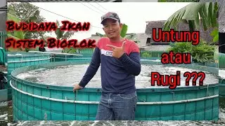 Teknologi Budidaya Ikan Sistem Bioflok di Kecamatan Cijaku Kabupaten Lebak