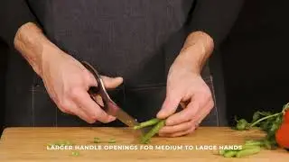 Ergo Chef Carbon Stainless Steel Kitchen Shears