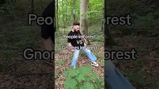 People VS Gnomes in forest 👨‍💼⚔️🧙‍♂️