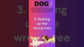 DOG-TIRED | Learn Dog Idioms #learnenglish #english #shortsvideo #idioms #shorts
