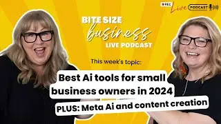 Best Ai tools for small business owners in 2024 PLUS: Meta Ai and content creation