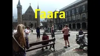 Гаага