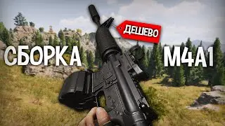 ДЕШЁВАЯ СБОРКА НА M4A1 РАЗБИРАЕТ ПРОТИВНИКОВ В ARENA BREAKOUT INFINITE