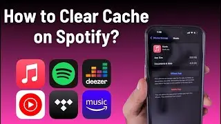 How to Clear Cache on Spotify iPhone?
