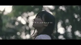 BIGMAMA "Flower knows" [Lyrics Video]