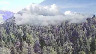 Река Псыш, окрестности поляны Таулу (Архыз). Летняя прогулка в горах