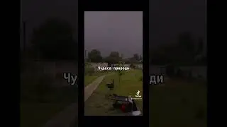 Чудеса на Землі а люди дибіли війни влаштовують